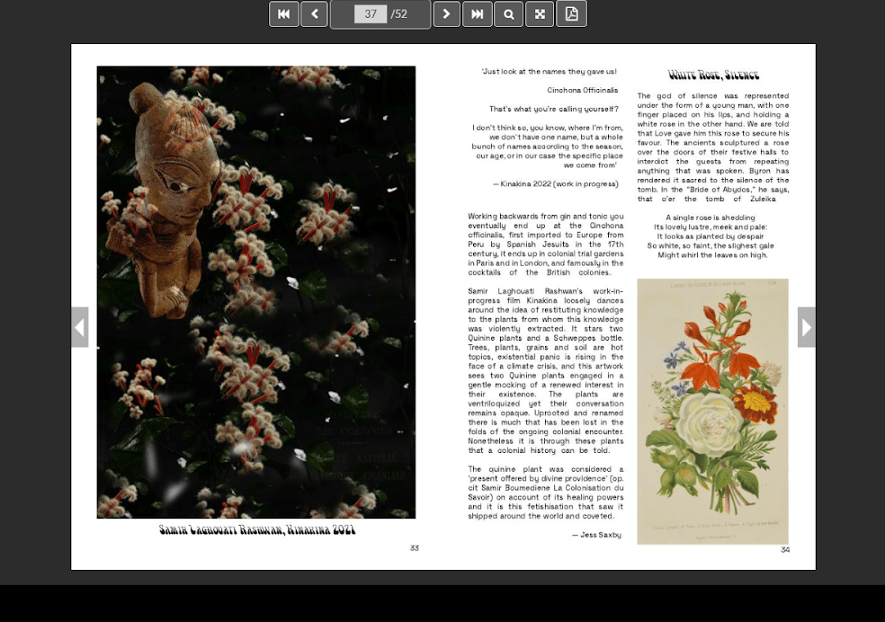 Two pages from 'Second Flowerings', a book covering the Victorian Language of Flowers.